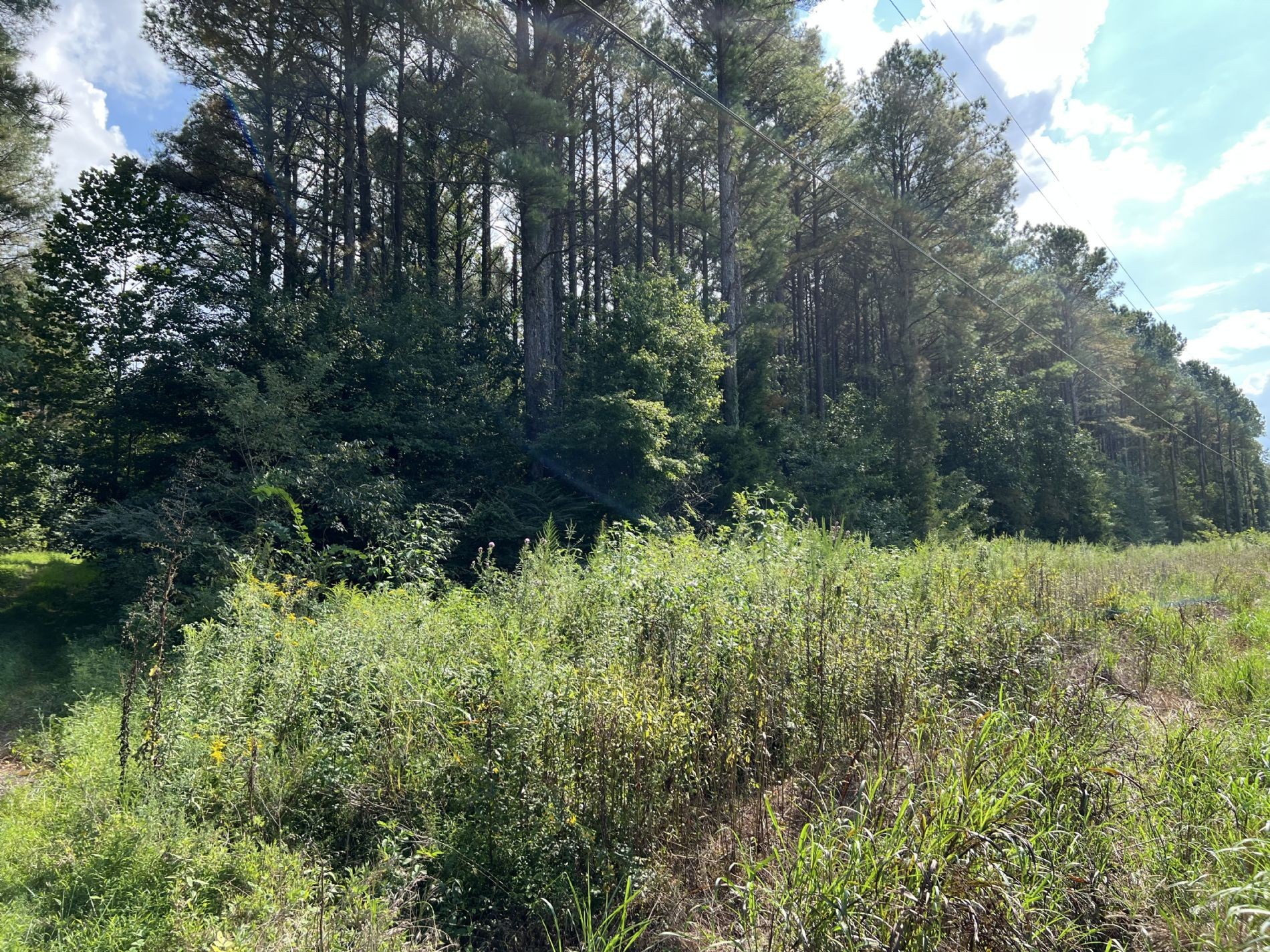 840 Turnpike Road Lawrenceburg, TN 38464 - Photo 10 of 10 a view of a garden