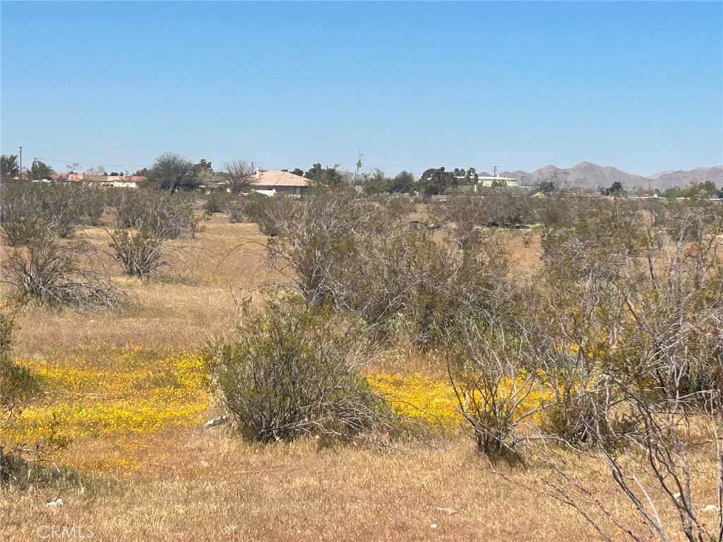 20 Matawan Road Apple Valley, CA 92308 - Photo 8 of 13