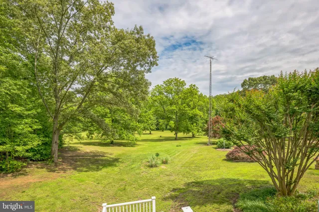 a view of a yard with an trees
