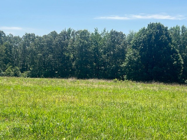 13 Summer Lake Winchester, TN 37398 - Photo 4 of 5 a view of a yard