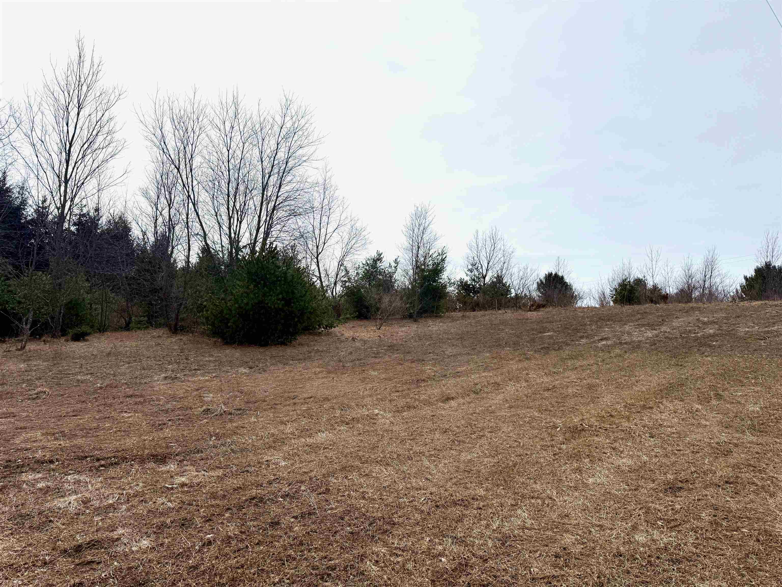 0 West Trumbull Road, Unit LOT B Maple City, MI 49664 - Photo 22 of 25