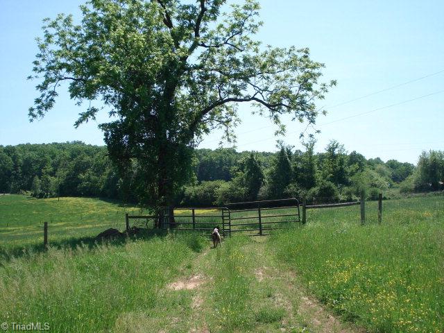 1332 Roaring Gap Church Road Elkin, NC 28621 - Photo 14 of 18 Gallery Image 14