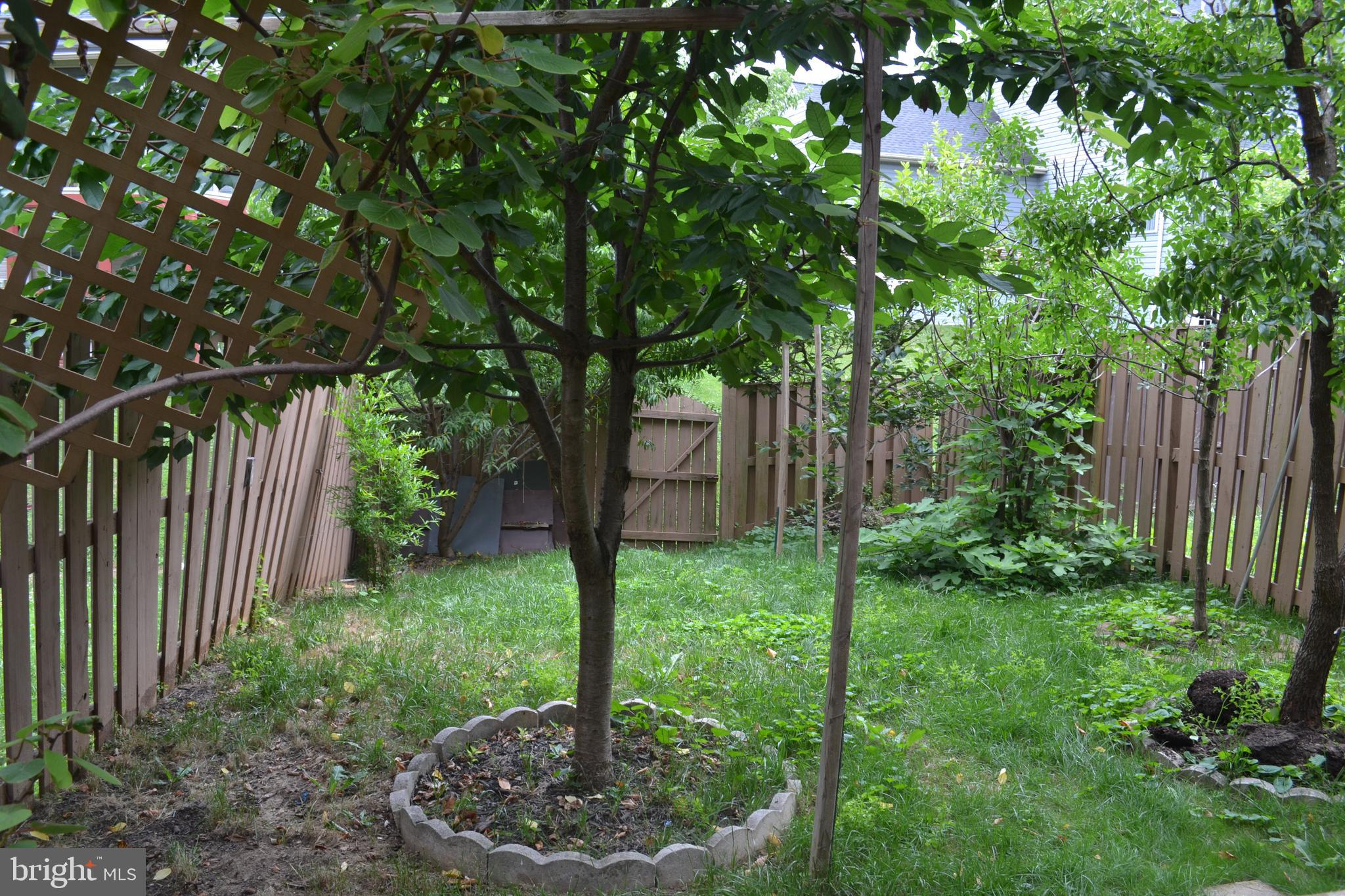 12015 Panthers Ridge Drive Germantown, MD 20876 - Photo 27 of 27 Backyard