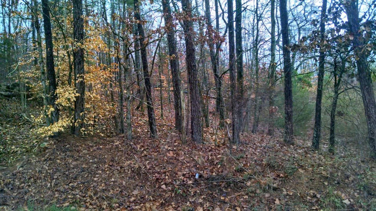 4005 New Summit Hill Road, Unit 5 Ringgold, GA 30736 - Photo 3 of 6 Tract 2 - Mason