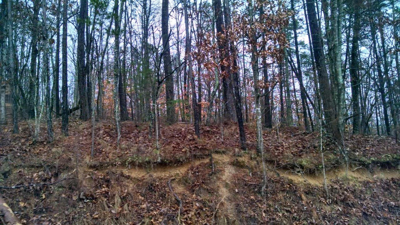 4005 New Summit Hill Road, Unit 5 Ringgold, GA 30736 - Photo 4 of 6 Tract 3 - Mason