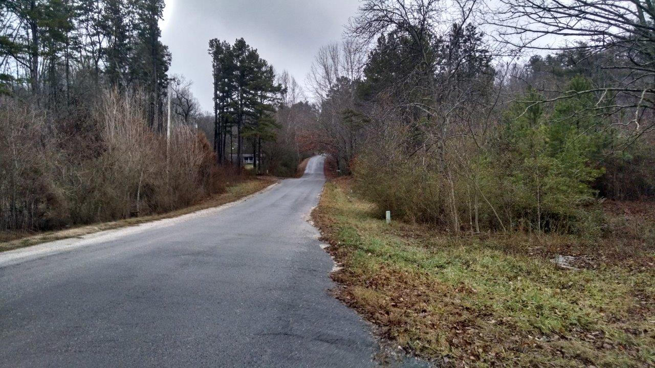 4005 New Summit Hill Road, Unit 5 Ringgold, GA 30736 - Photo 5 of 6 Tract 4 road view - Mason