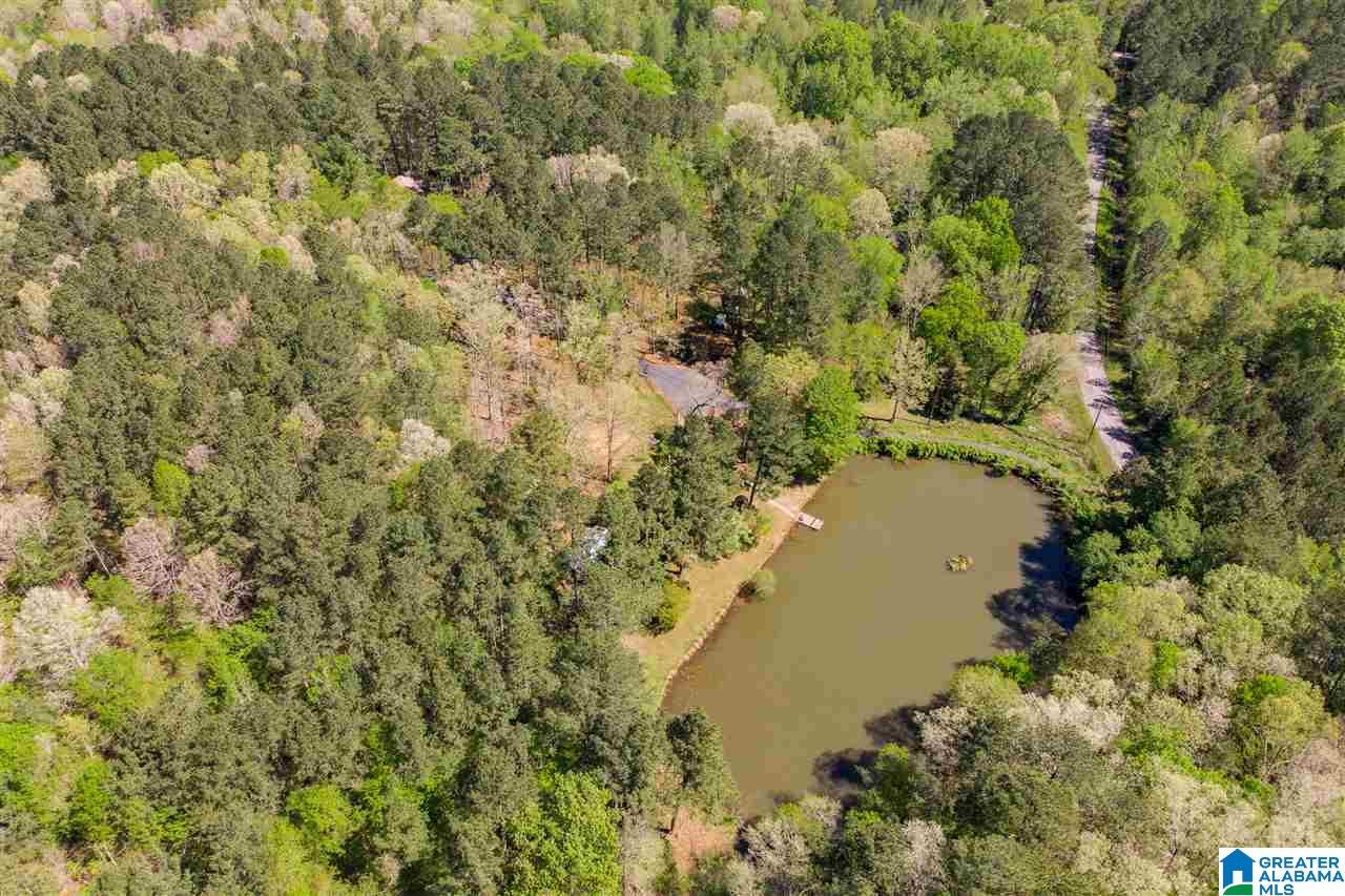 401 Ricetown Road Hayden, AL 35079 - Photo 48 of 50