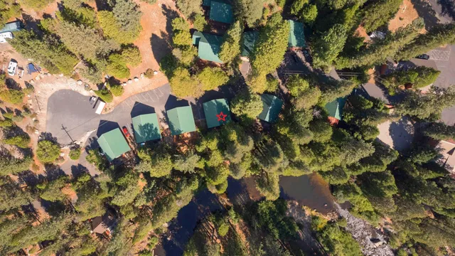 a backyard of a house with lots of plants and trees