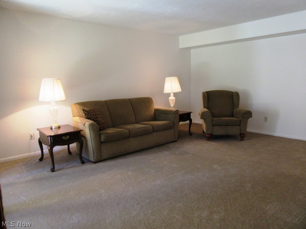 1105 Canyon View Road, Unit 102 Northfield, OH 44067 - Photo 8 of 18