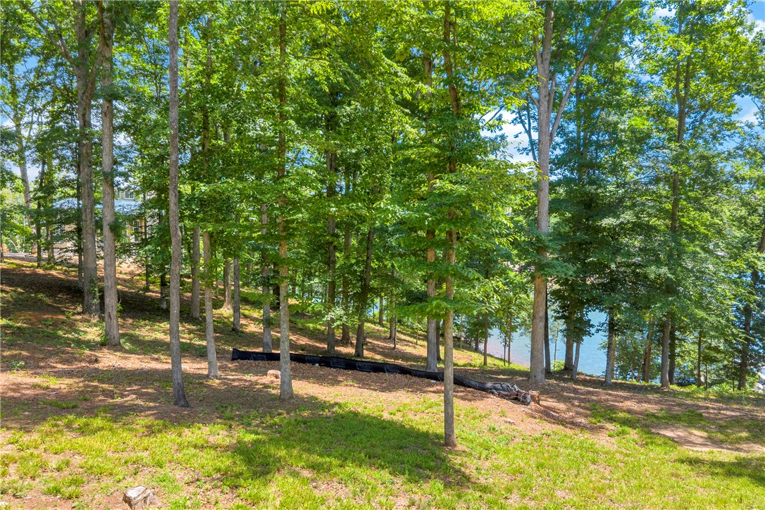 Lot 60 Harbor Point Seneca, SC 29672 - Photo 5 of 30 Mature trees frame tranquil lake views from this sloped, verdant lot.