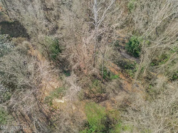 $760,000 | 13645 Highway 10, St. Francisville, LA 70775