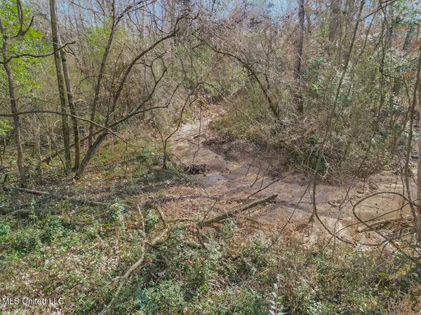 $760,000 | 13645 Highway 10, St. Francisville, LA 70775