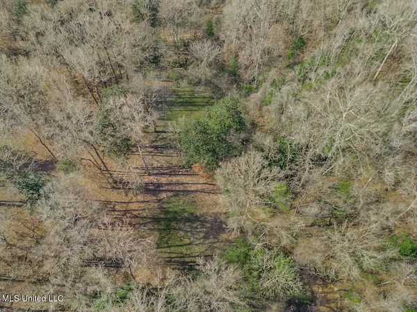 $760,000 | 13645 Highway 10, St. Francisville, LA 70775