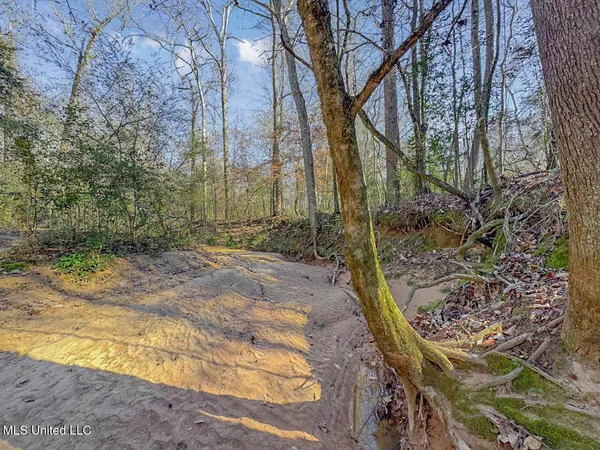 $760,000 | 13645 Highway 10, St. Francisville, LA 70775