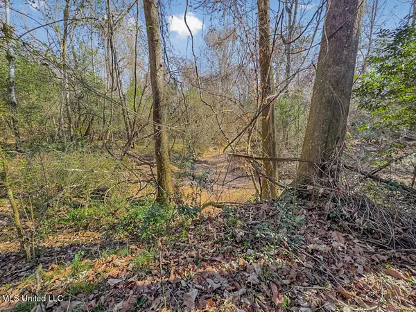 $760,000 | 13645 Highway 10, St. Francisville, LA 70775