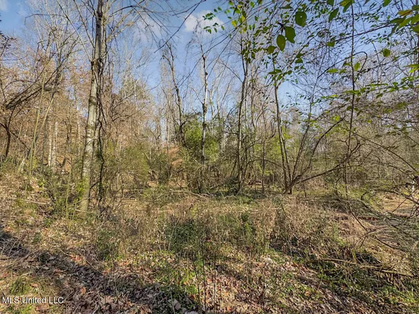 $760,000 | 13645 Highway 10, St. Francisville, LA 70775