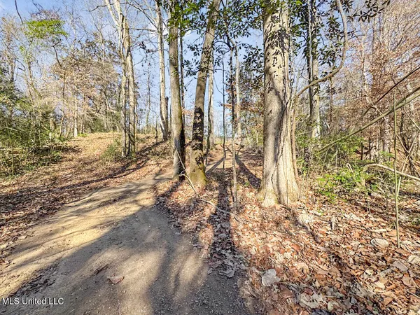 $760,000 | 13645 Highway 10, St. Francisville, LA 70775