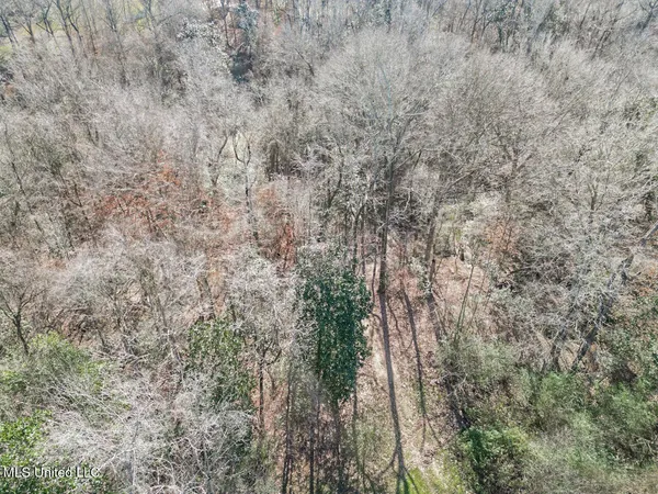 $760,000 | 13645 Highway 10, St. Francisville, LA 70775