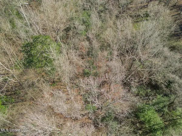 $760,000 | 13645 Highway 10, St. Francisville, LA 70775