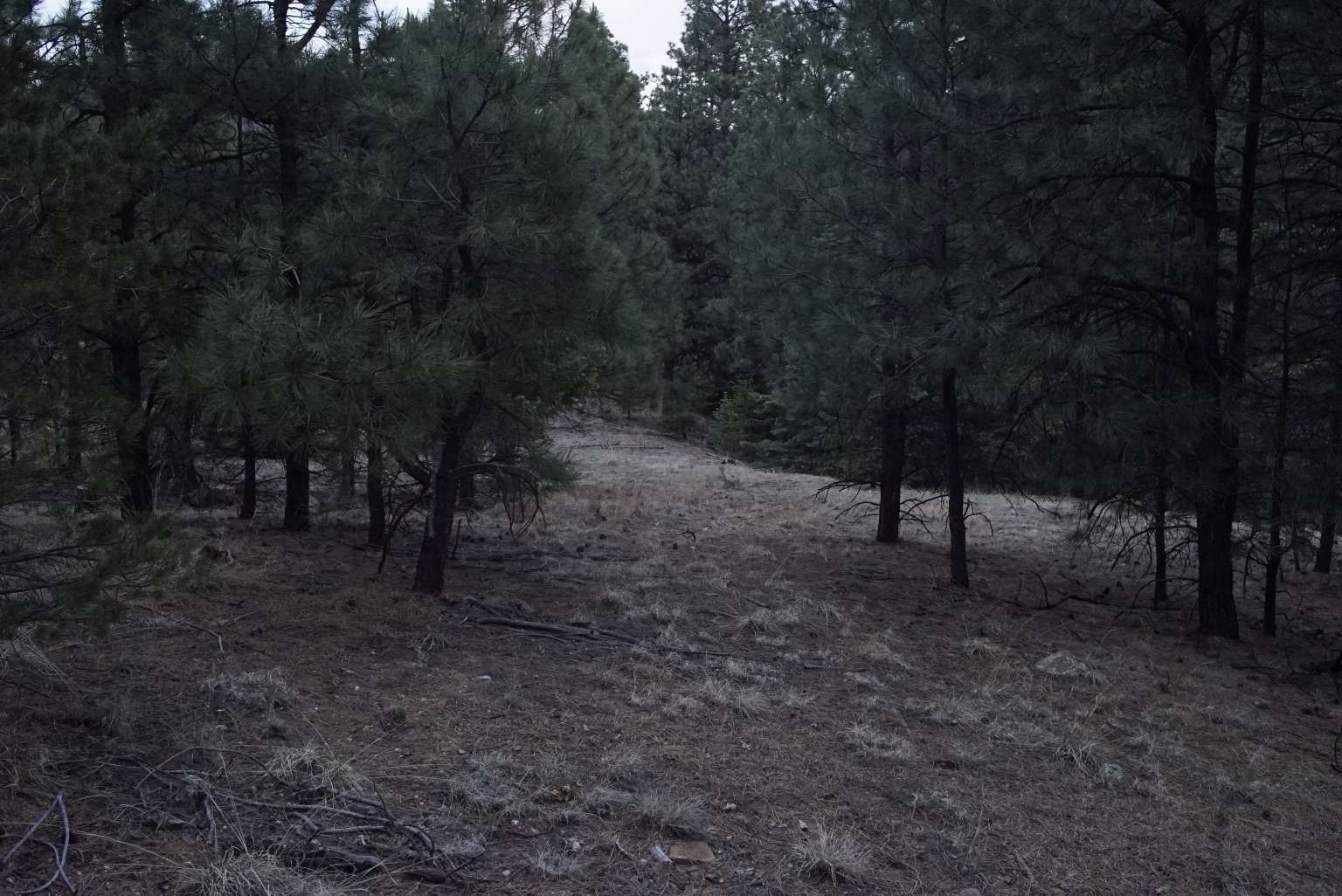 0 A015 County Road Mora, NM 87732 - Photo 30 of 40