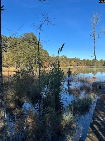 $99,000 | Lot 39 Edisto Lake Road, Wagener, SC 29164