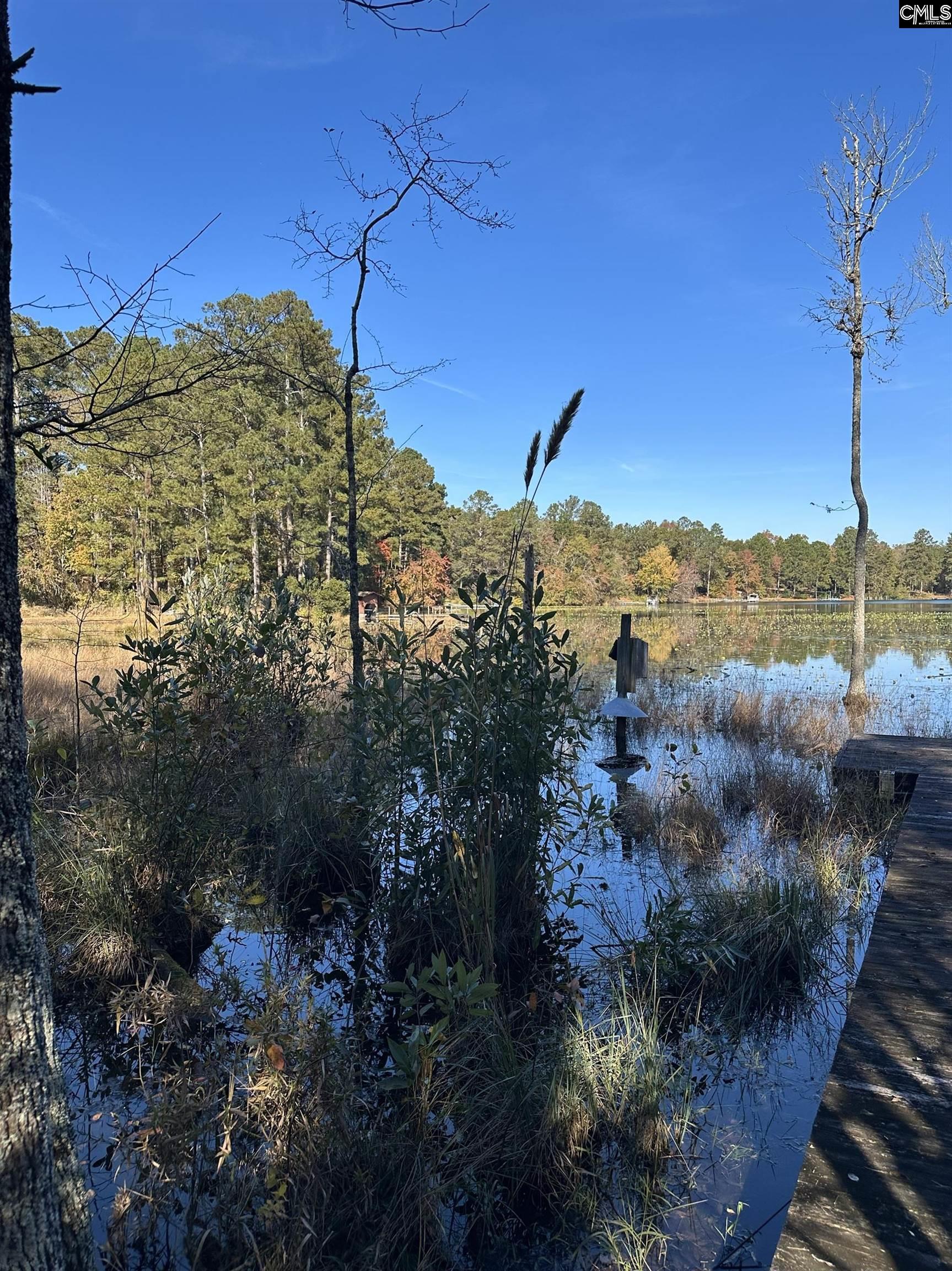 Lot 39 Edisto Lake Road Wagener, SC 29164 - Photo 5 of 9