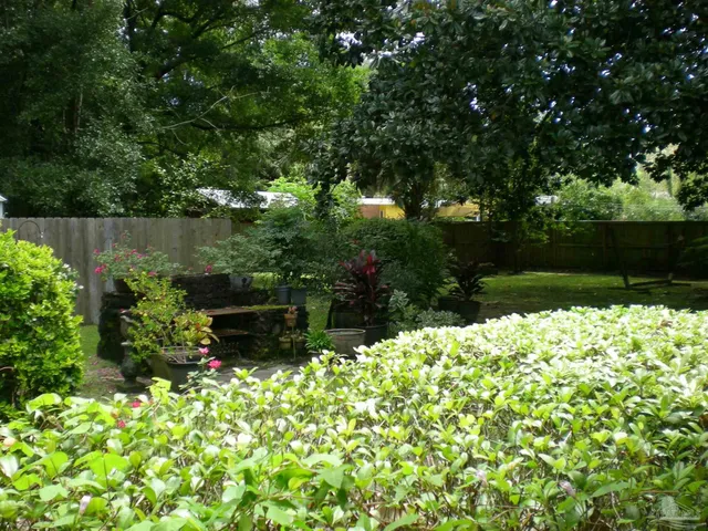 a bunch of flowers are in a garden