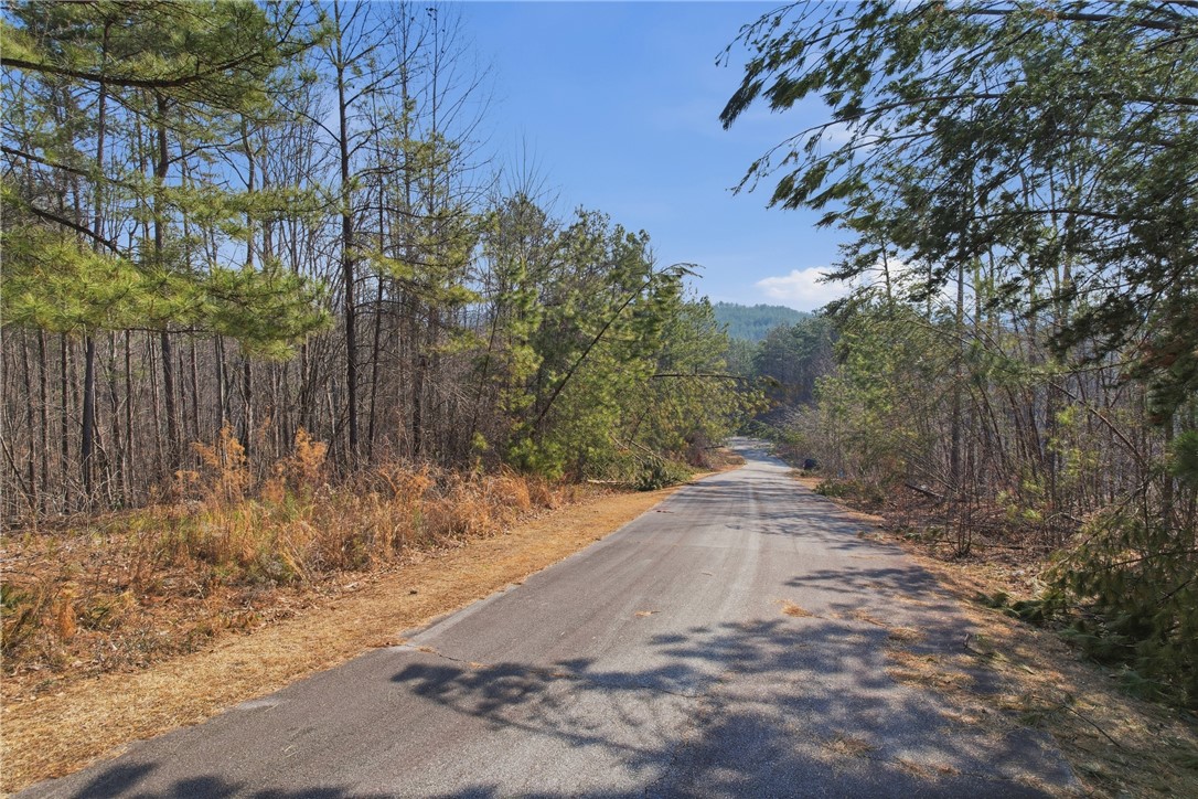 S-28 Tamassee Ridge Way Salem, SC 29676 - Photo 3 of 21