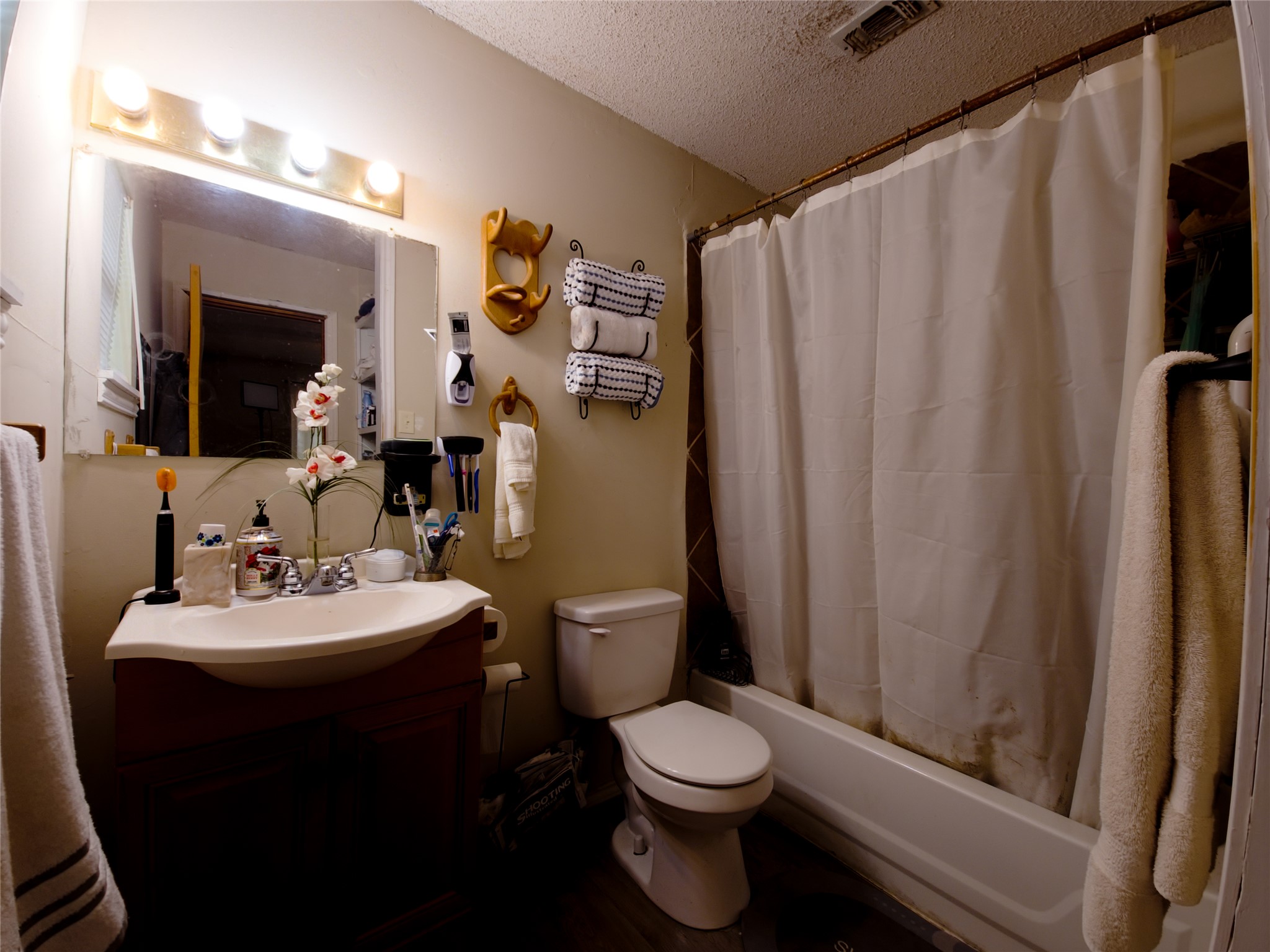 911 Brazos Street Lockhart, TX 78644 - Photo 14 of 22 Bathroom with vanity, shower / tub combo with curtain, and a textured ceiling