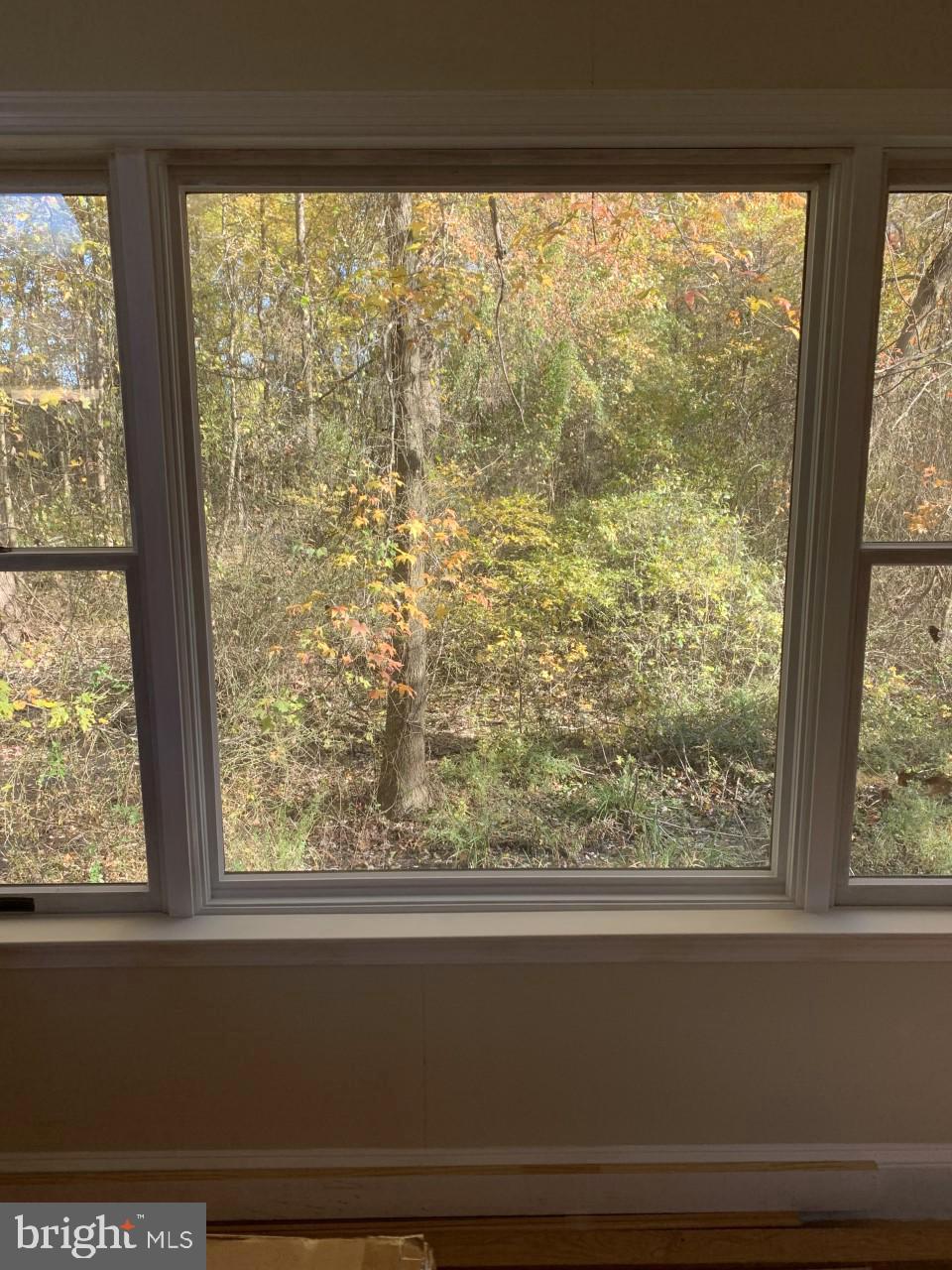 5449 Eastern Neck Road Rock Hall, MD 21661 - Photo 18 of 42 View from Florida Room