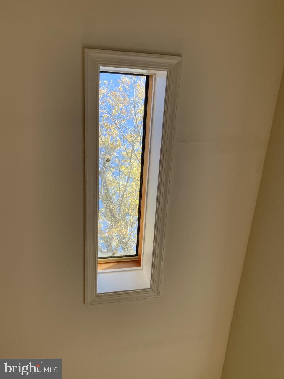 5449 Eastern Neck Road Rock Hall, MD 21661 - Photo 19 of 42 Skylight in Florida Room