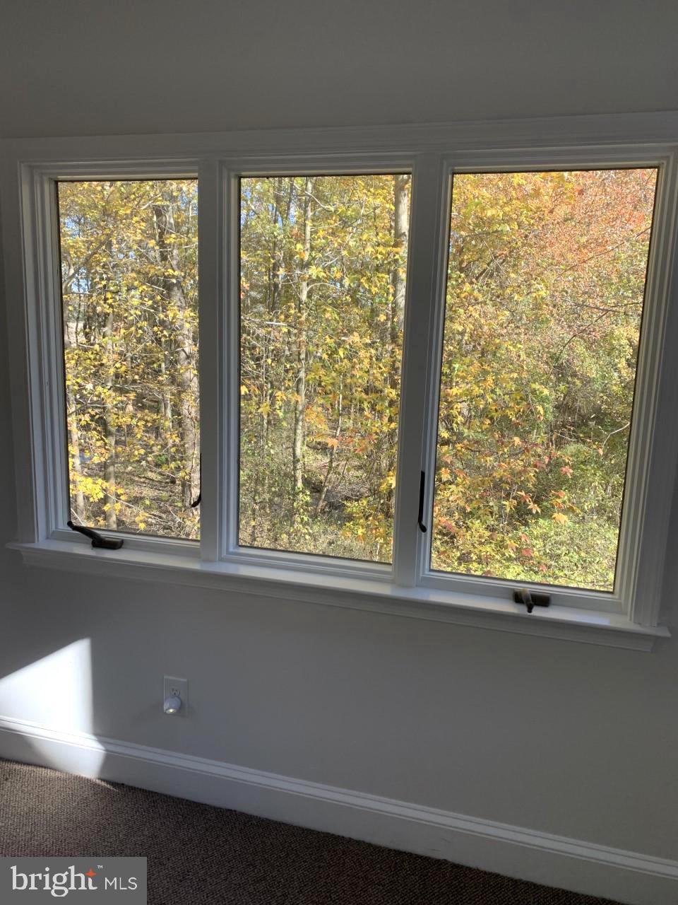 5449 Eastern Neck Road Rock Hall, MD 21661 - Photo 27 of 42 View from Sitting Room