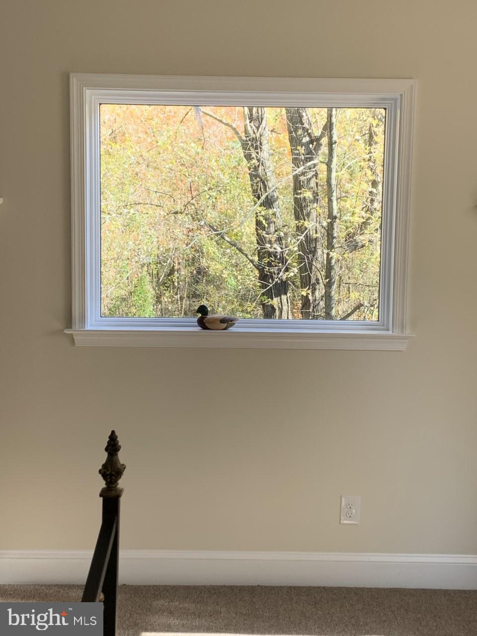 5449 Eastern Neck Road Rock Hall, MD 21661 - Photo 29 of 42 View from inside Master Bedroom