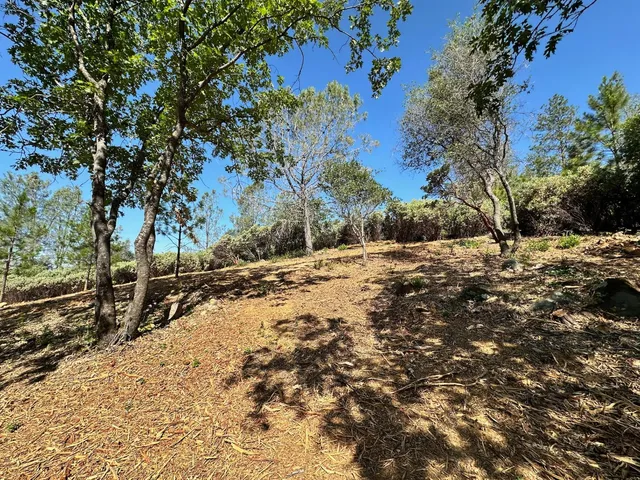 $475,000 | 16709 East Summit View Dr Meadow Vista, Meadow Vista, CA 95722