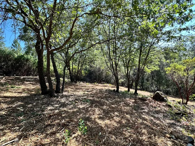 $475,000 | 16709 East Summit View Dr Meadow Vista, Meadow Vista, CA 95722