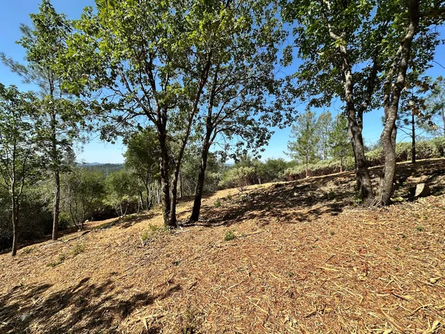 $475,000 | 16709 East Summit View Dr Meadow Vista, Meadow Vista, CA 95722