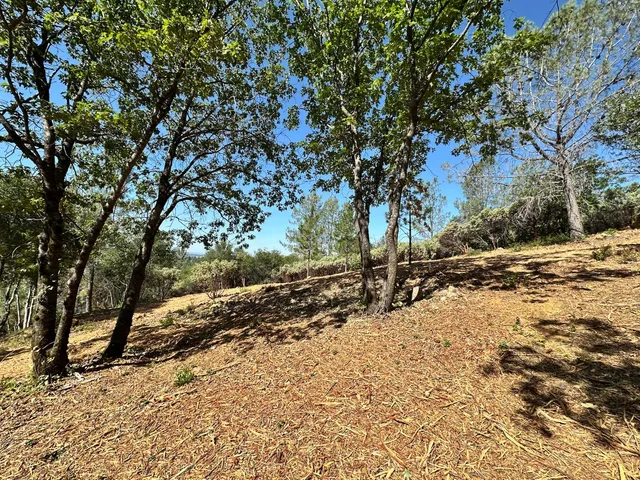 $475,000 | 16709 East Summit View Dr Meadow Vista, Meadow Vista, CA 95722