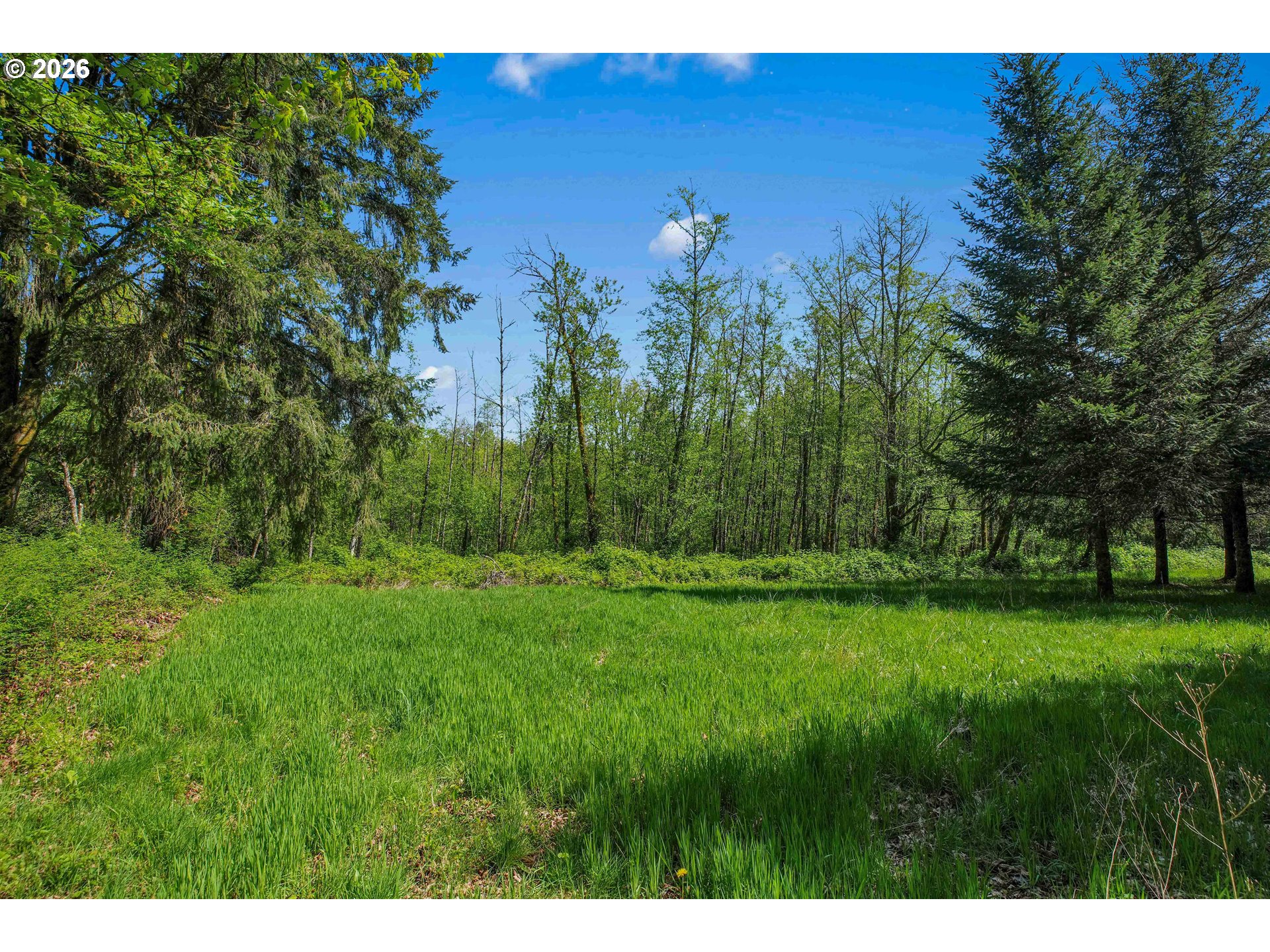 70896 Neer City Road Rainier, OR 97048 - Photo 28 of 46