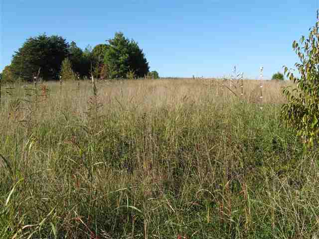 201 Williford Road Starr, SC 29684 - Photo 3 of 5