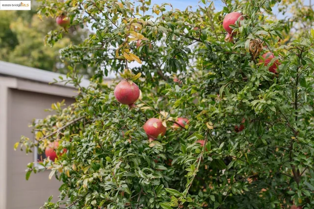 $499,000 | 1163 60th Avenue, Oakland, CA 94621