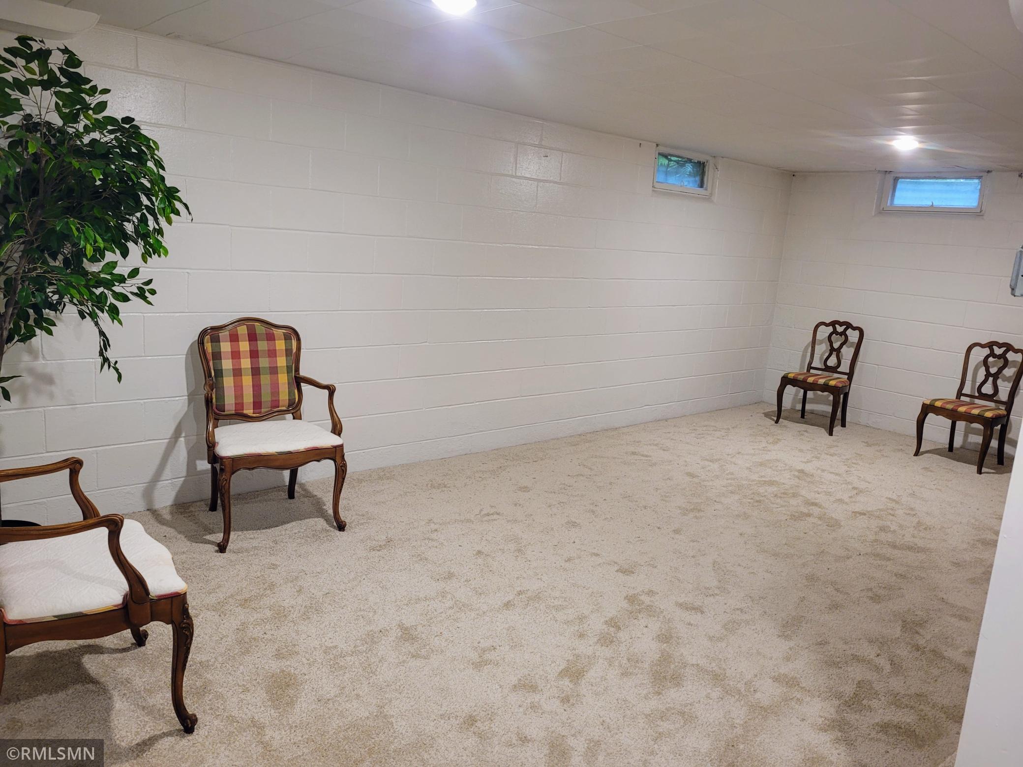 905 Carver Street North Winthrop, MN 55396 - Photo 27 of 65