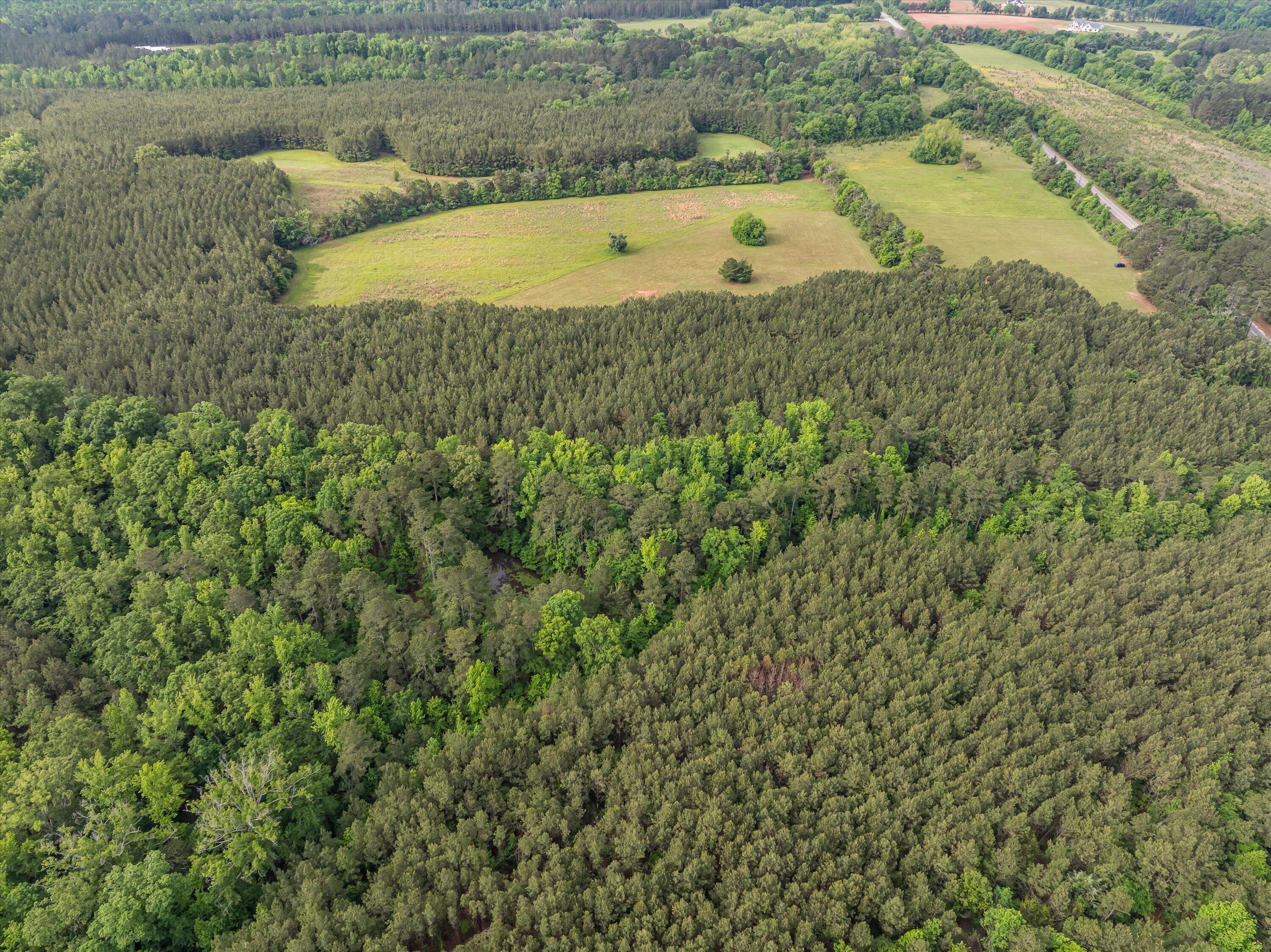 5760 Cobbham Road Appling, GA 30802 - Photo 11 of 30 31-Lot 2_19