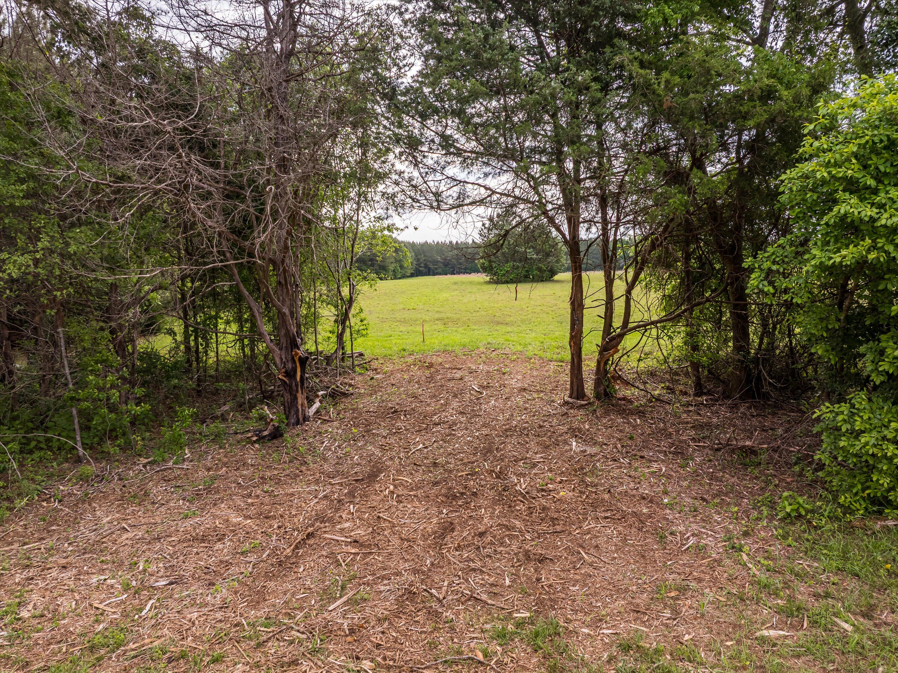 5760 Cobbham Road Appling, GA 30802 - Photo 22 of 30 49-Lot 2_32