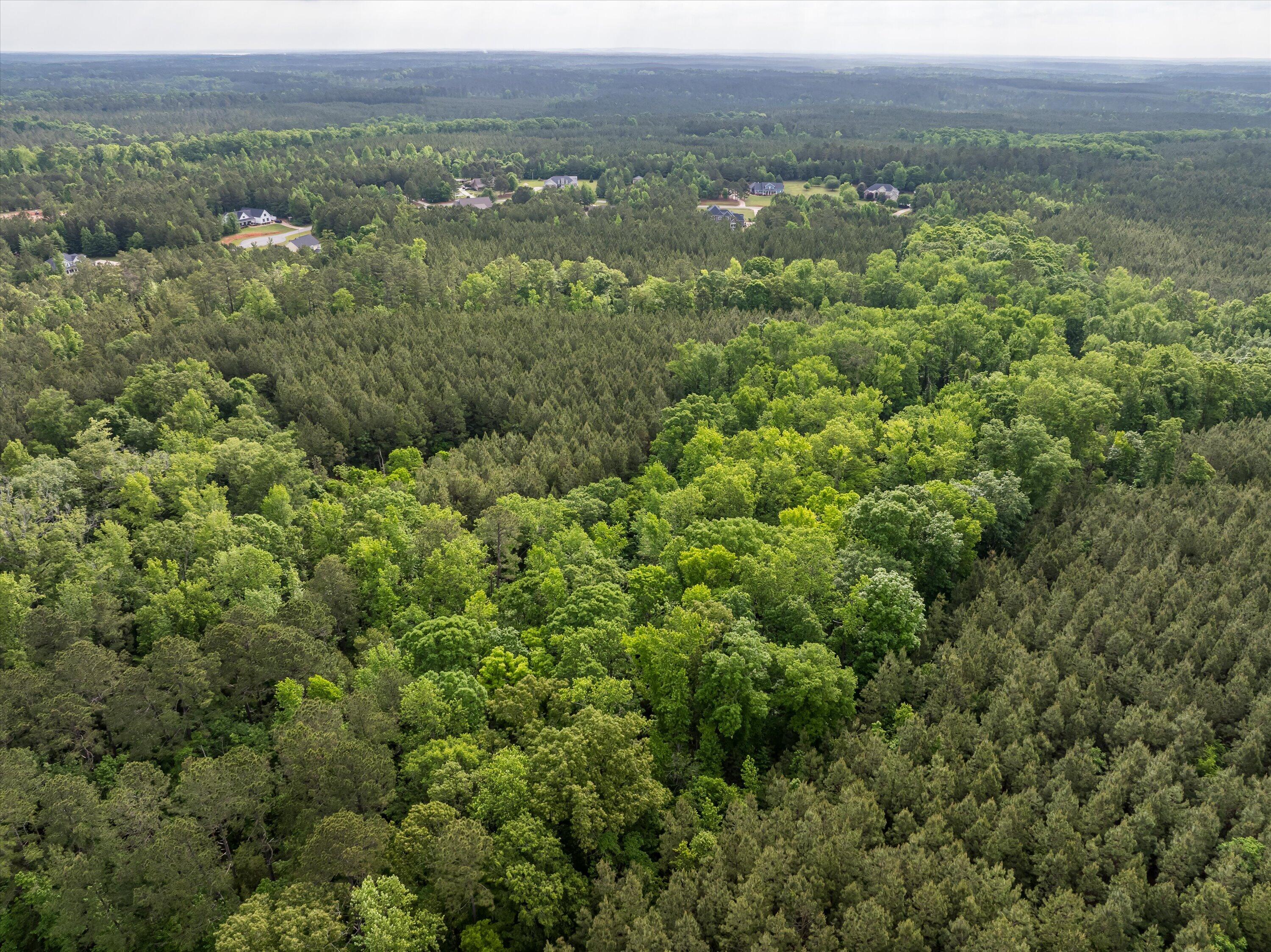 5760 Cobbham Road Appling, GA 30802 - Photo 8 of 30 28-Lot 2_16