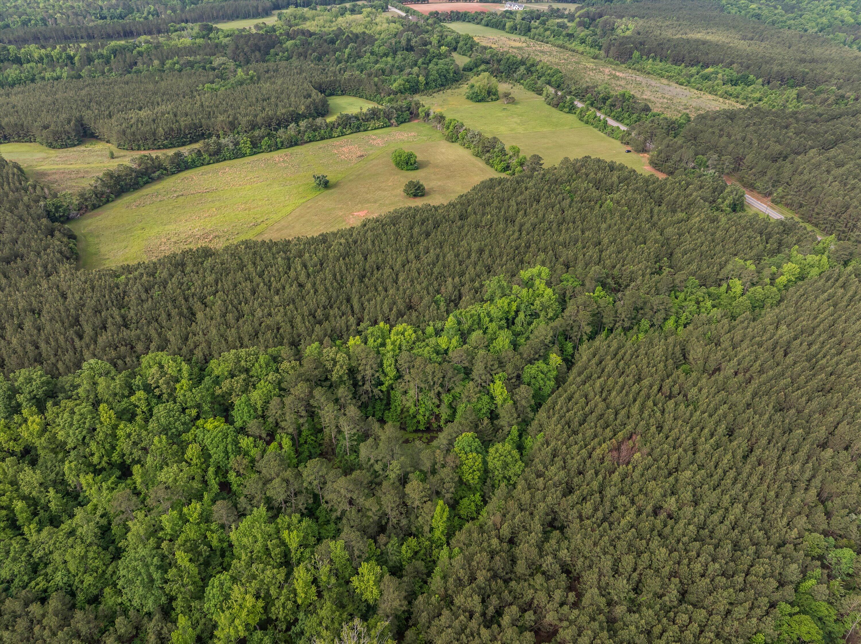 5760 Cobbham Road Appling, GA 30802 - Photo 10 of 30 30-Lot 2_18