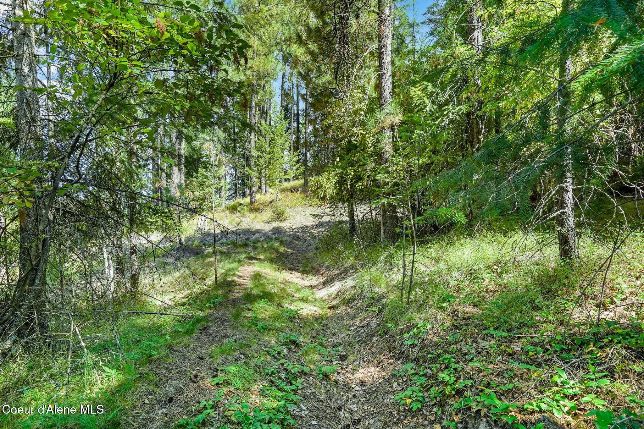 273 Paradise Valley Road Bonners Ferry, ID 83805 - Photo 37 of 45 Anyone up for a hike on YOUR property?