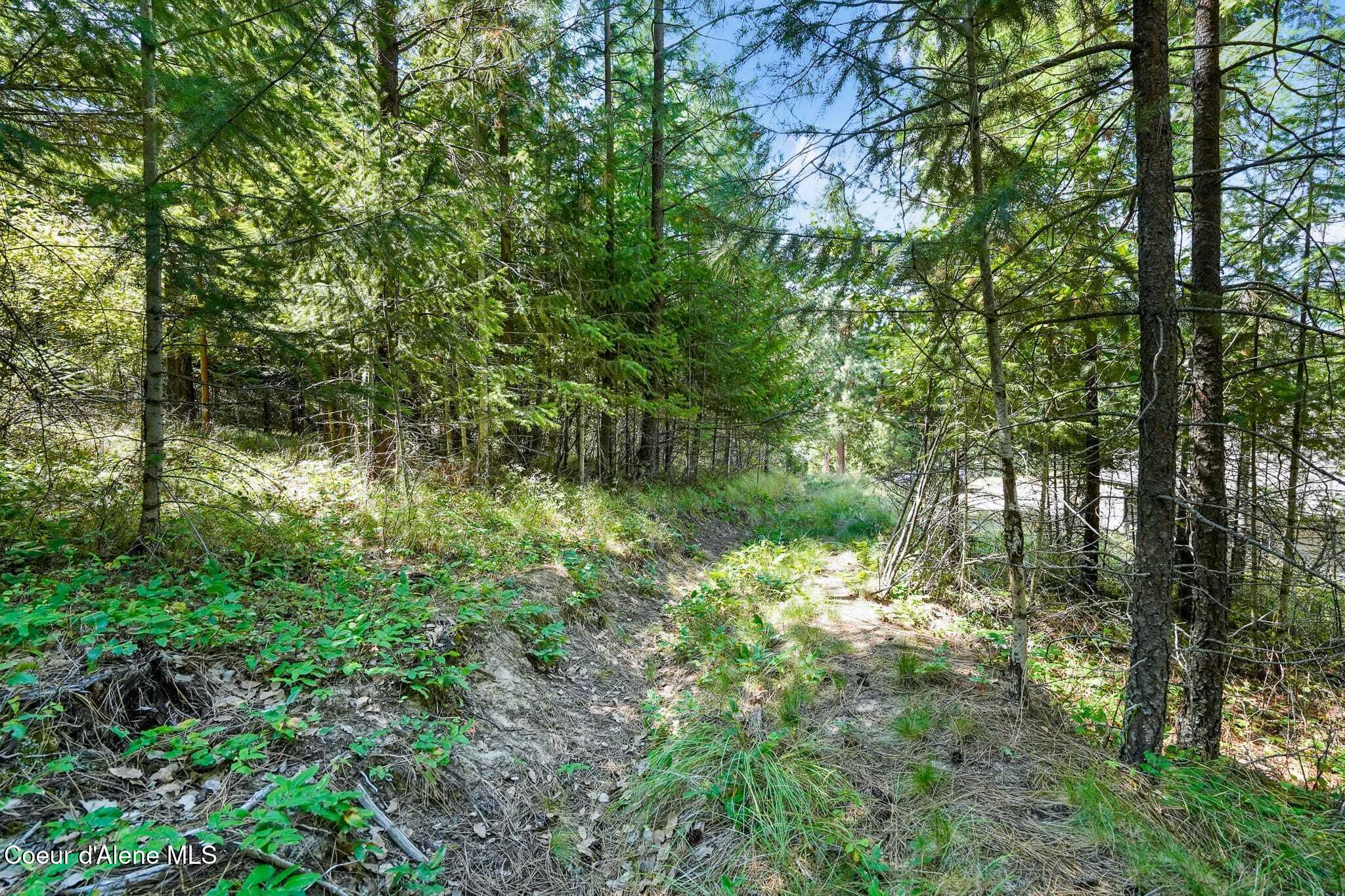 273 Paradise Valley Road Bonners Ferry, ID 83805 - Photo 39 of 45 No need to leave here