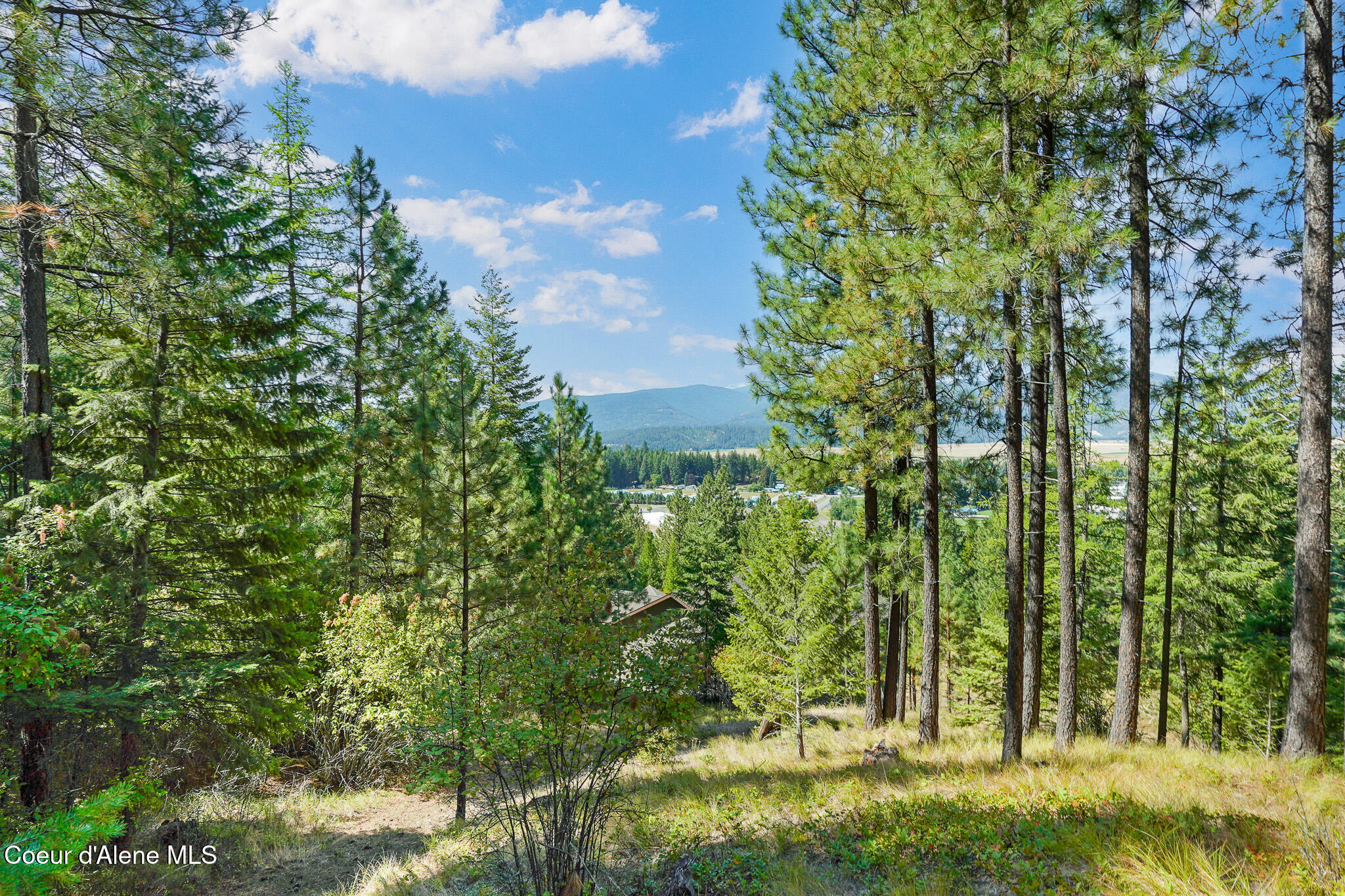 273 Paradise Valley Road Bonners Ferry, ID 83805 - Photo 43 of 45 What a view!