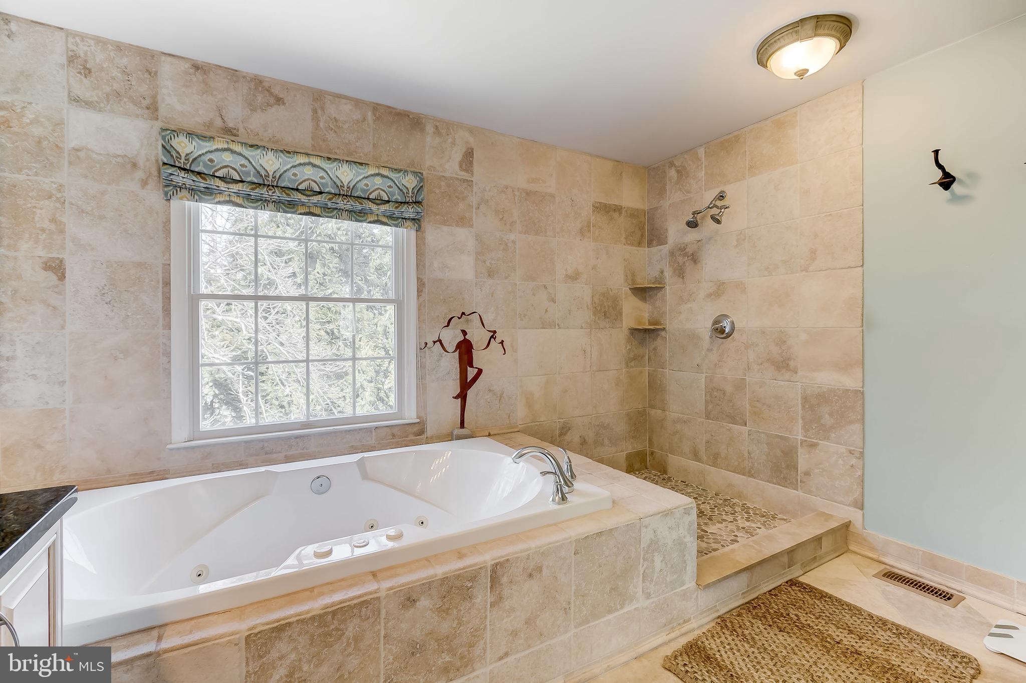 2212 Monkton Road Monkton, MD 21111 - Photo 26 of 42 Open shower - can be enclosed