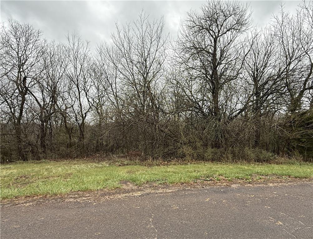 164 Deer Run Road Atchison, KS 66002 - Photo 1 of 2 Gallery Image 1